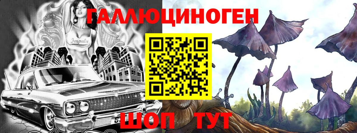 Галлюциногенные грибы Psilocybe Кулебаки